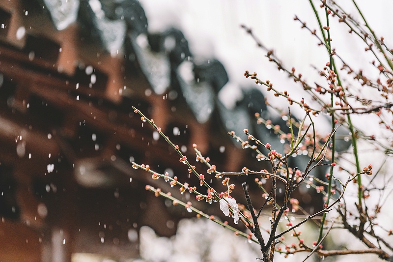 攝圖網_500809939_中式古典園林中的雪景（非企業商用）